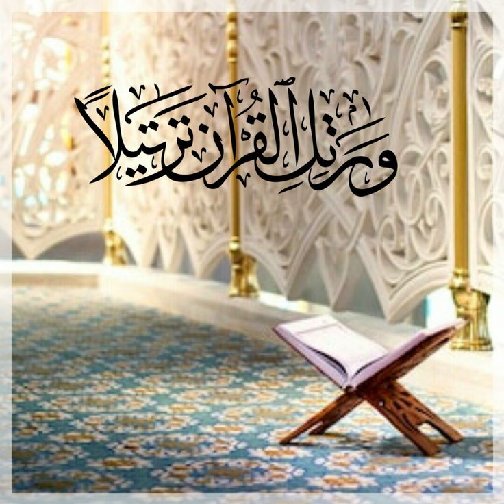 طالب صغير يدرس بين الكتب في قاعة صفية.